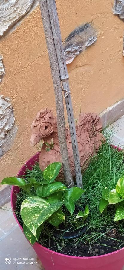 Come A Casa Siraküza Dış mekan fotoğraf