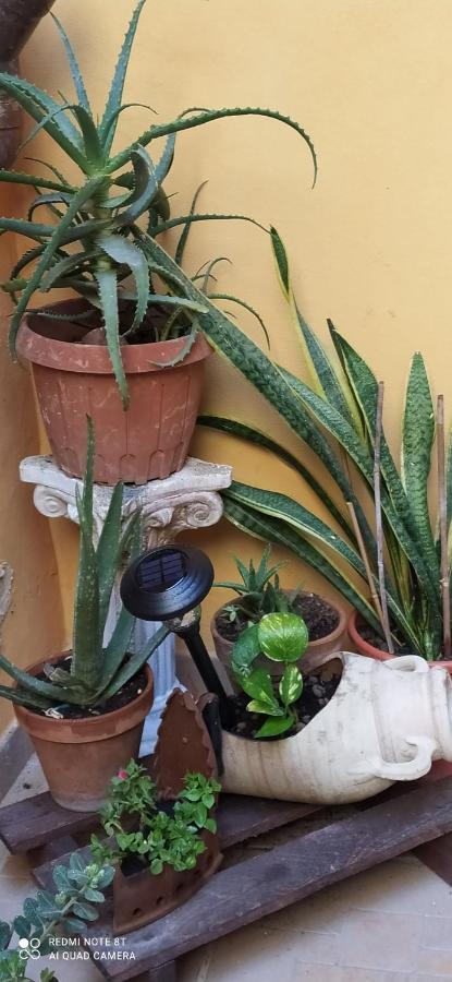 Come A Casa Siraküza Dış mekan fotoğraf